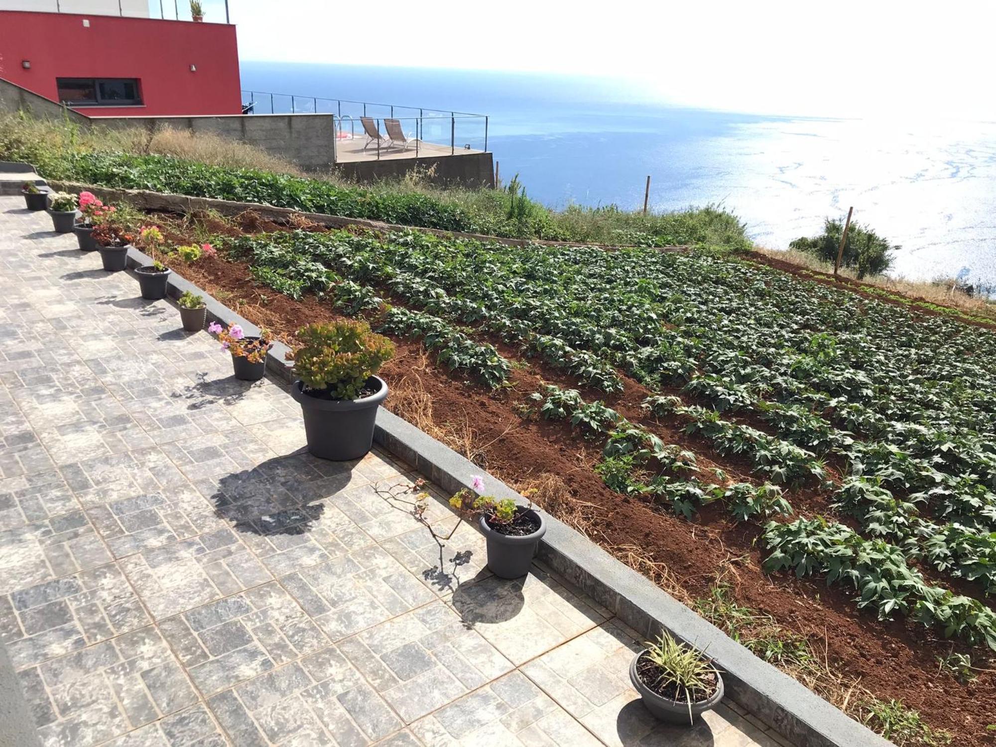 Willa Palheirinho Da Achada Arco da Calheta  Zewnętrze zdjęcie